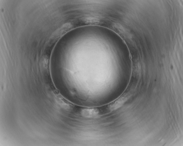 X0000088840281200706071427