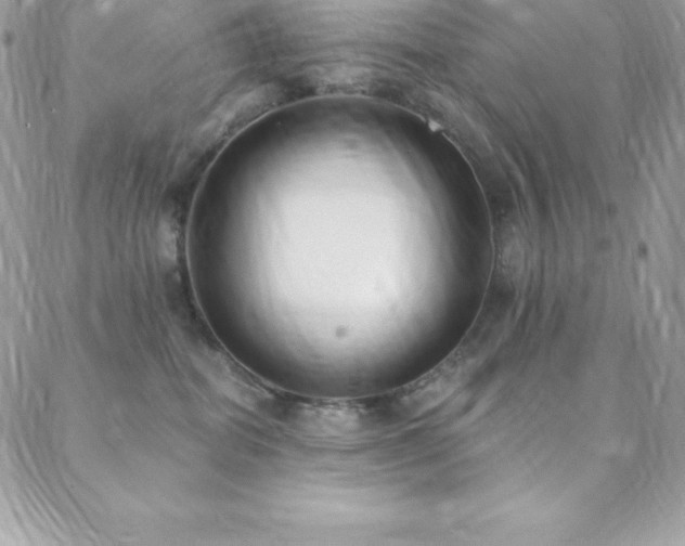 X0000088840282200706071427