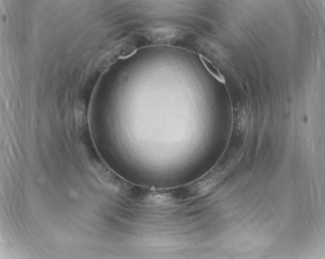 X0000088840283200706071428