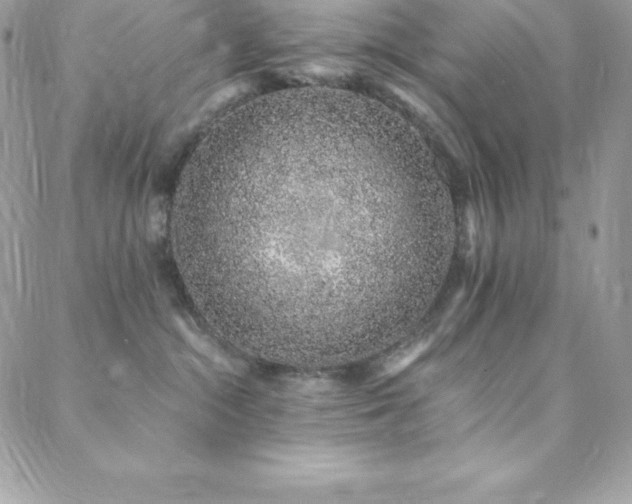 X0000088840284200706071428