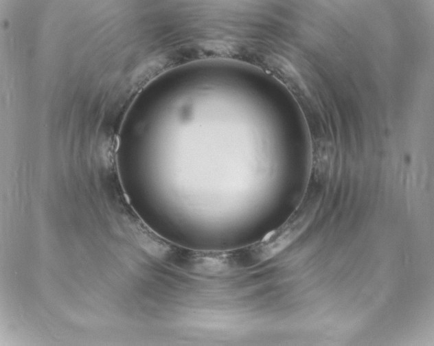 X0000088840285200706071428