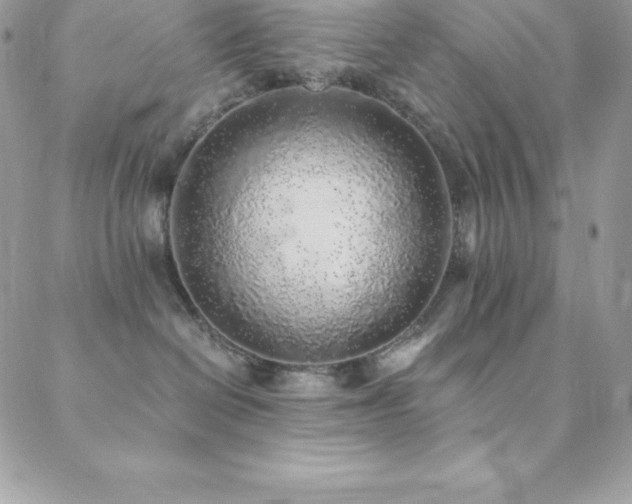 X0000088840286200706071428