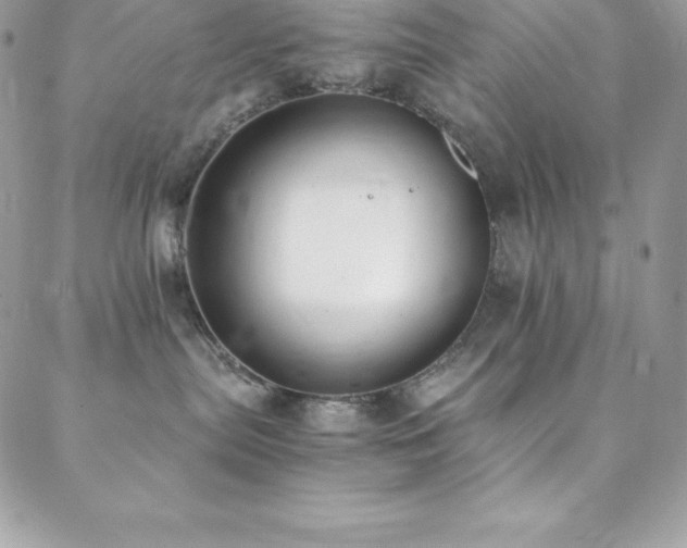 X0000088840287200706071428