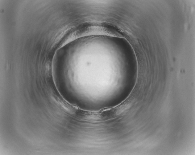 X0000088840288200706071428