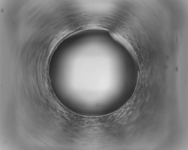 X0000088840289200706071427