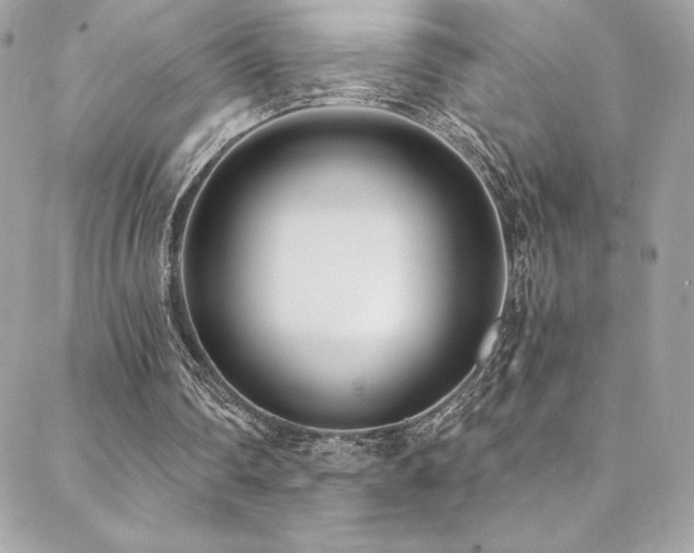 X0000088840290200706071427