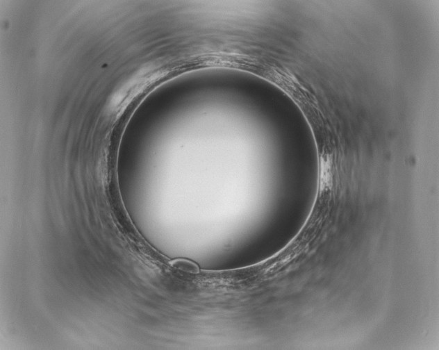 X0000088840291200706071427