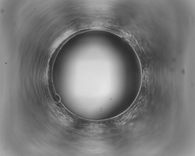 X0000088840292200706071427