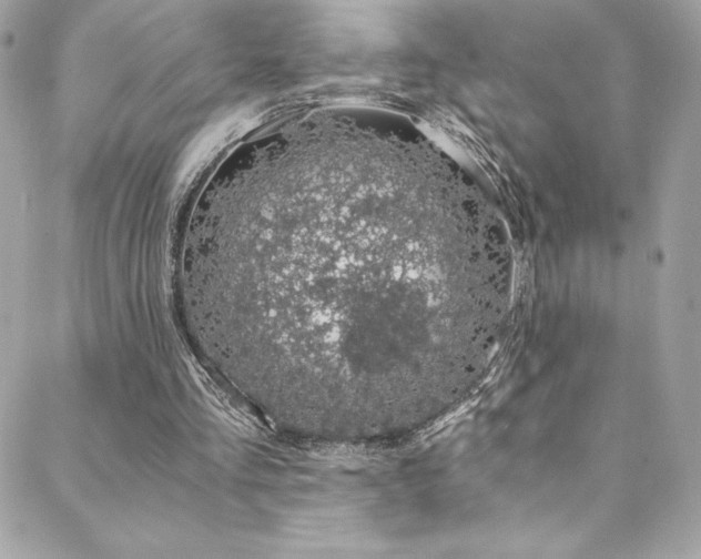 X0000088840293200706071427