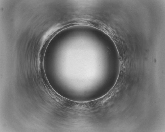 X0000088840294200706071427