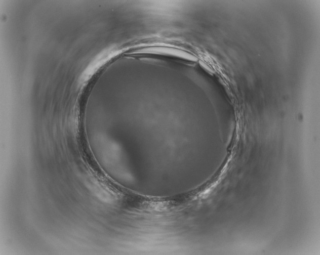 X0000088840295200706071427