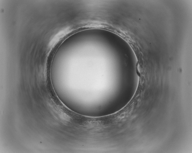 X0000088840296200706071427