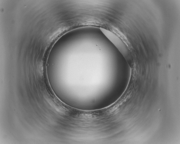 X0000088840298200706071427