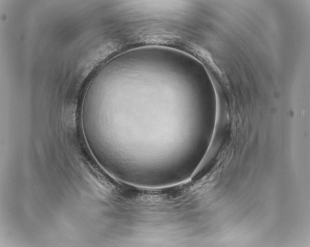 X0000088840299200706071427