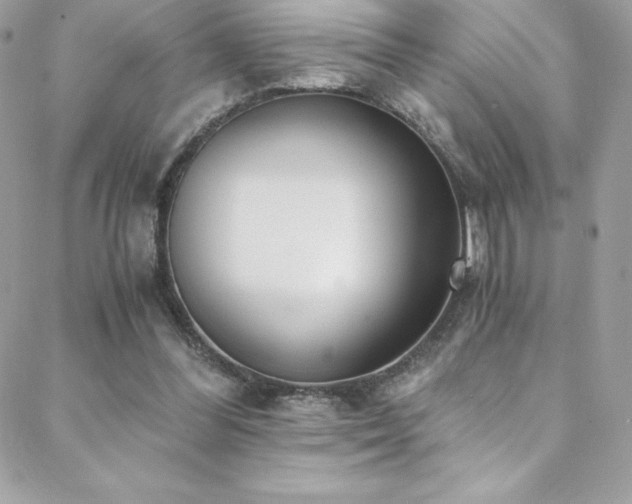 X0000088840300200706071427