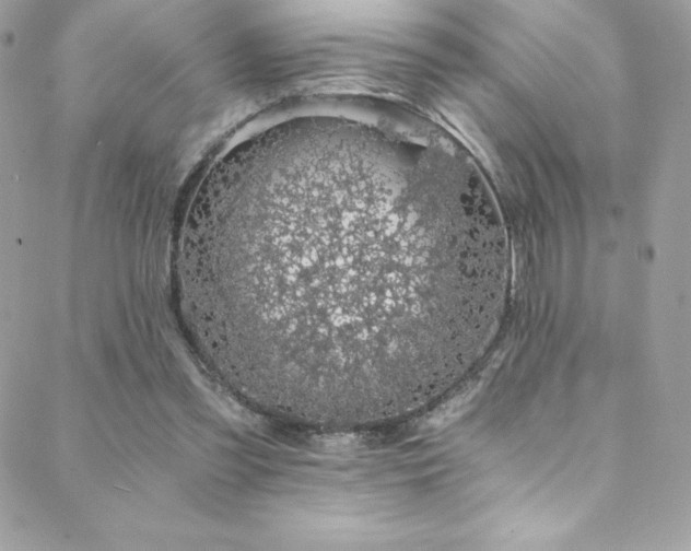 X0000088840301200706071427