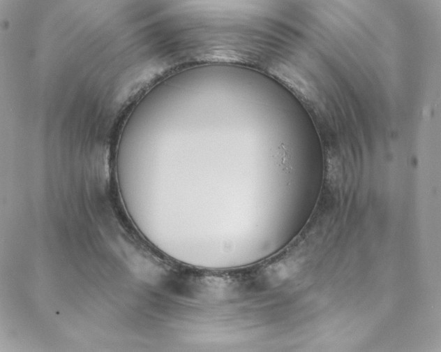 X0000088840302200706071427