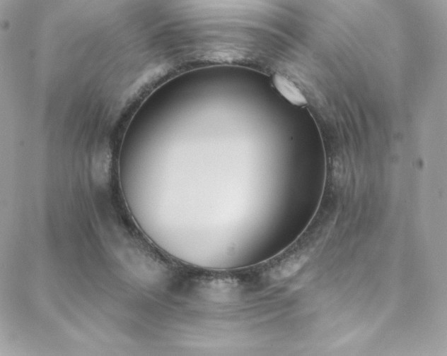 X0000088840304200706071427