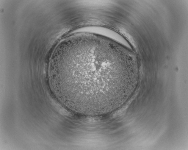 X0000088840305200706071427