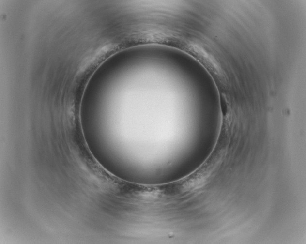 X0000088840306200706071427