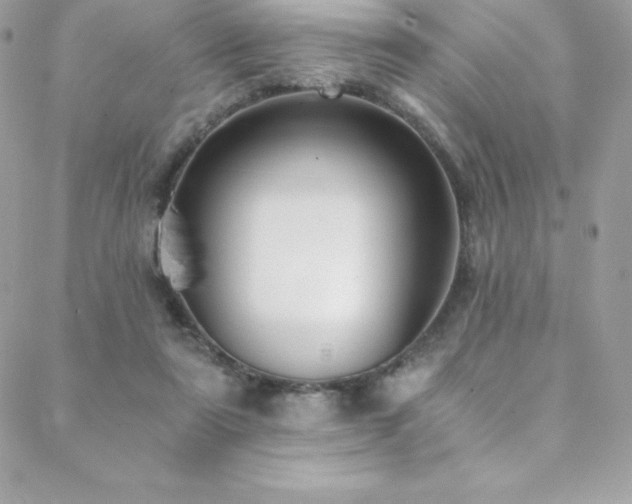 X0000088840307200706071427