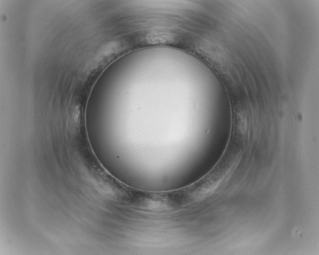 X0000088840308200706071427