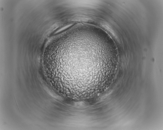 X0000088840309200706071426