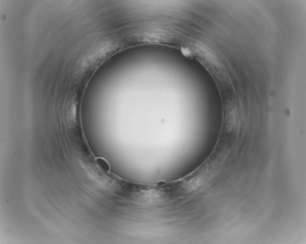 X0000088840310200706071426