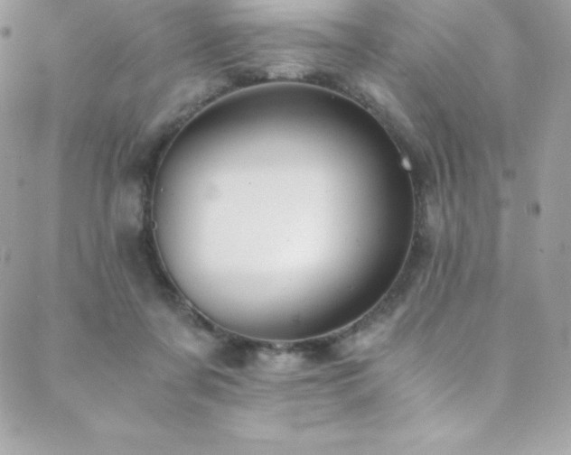 X0000088840311200706071426