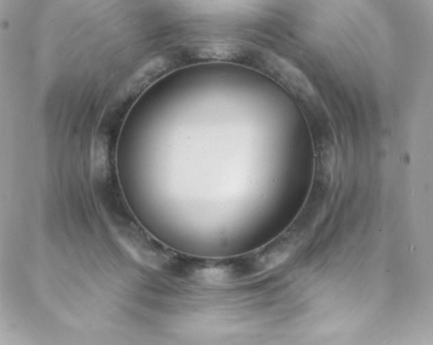 X0000088840312200706071426