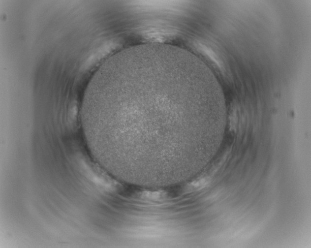 X0000088840314200706071426