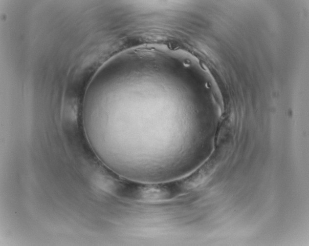 X0000088840315200706071426