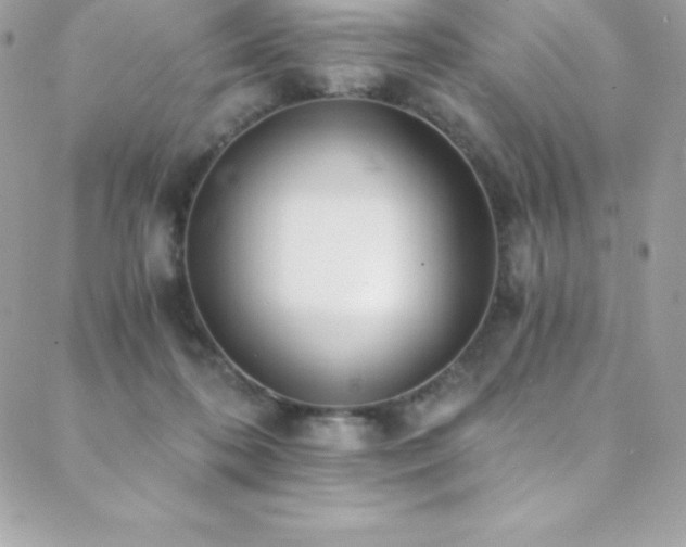 X0000088840316200706071426