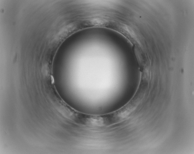 X0000088840317200706071426