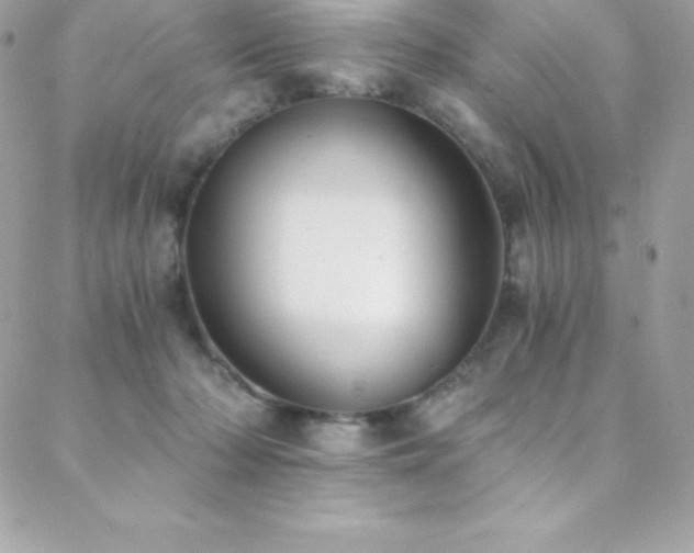 X0000088840318200706071426