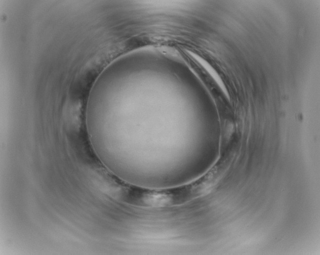 X0000088840319200706071426