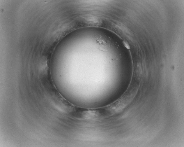 X0000088840320200706071426