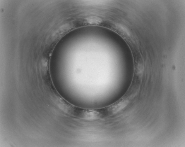 X0000088840321200706071426