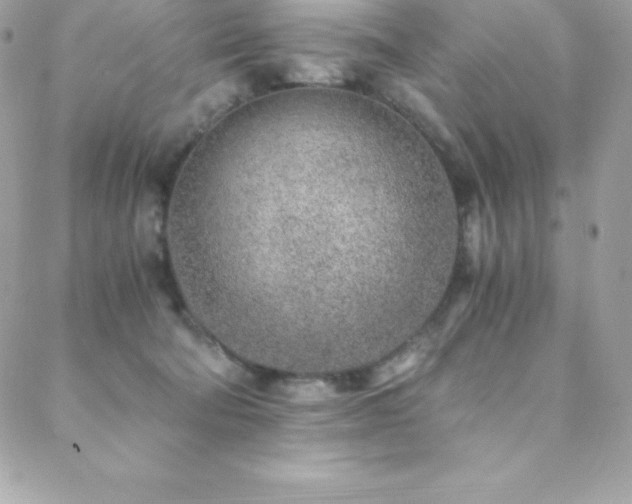 X0000088840322200706071426