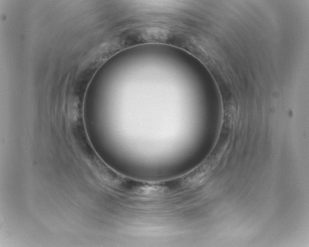 X0000088840323200706071426