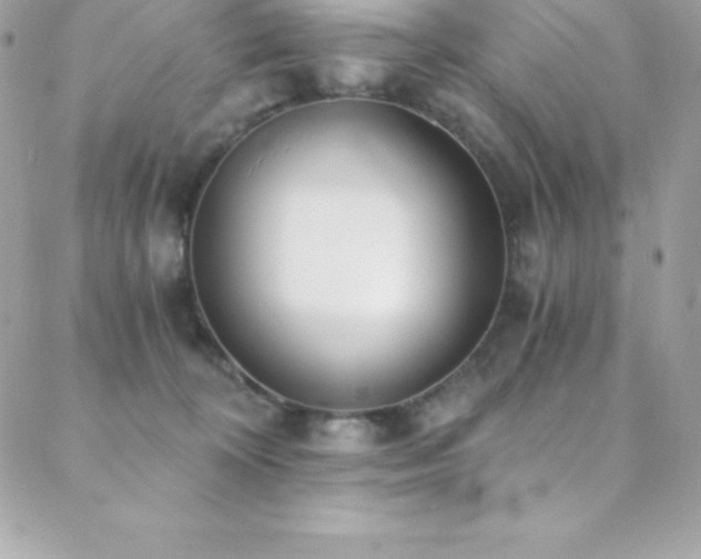 X0000088840324200706071426