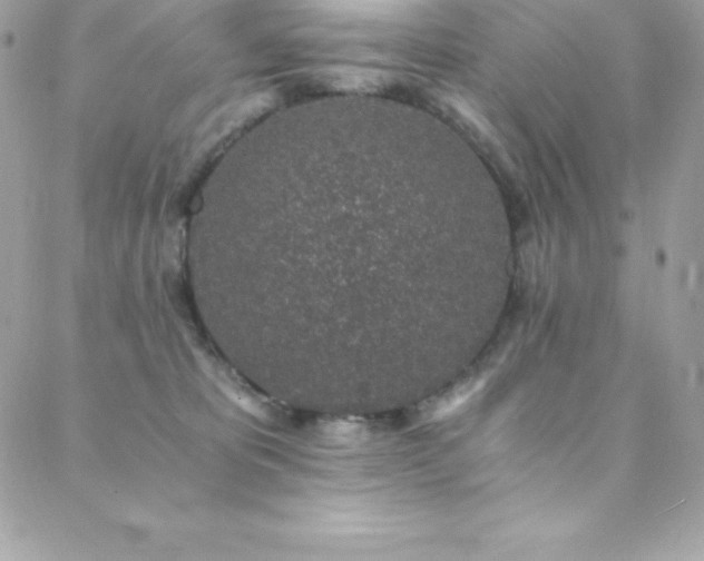 X0000088840325200706071426