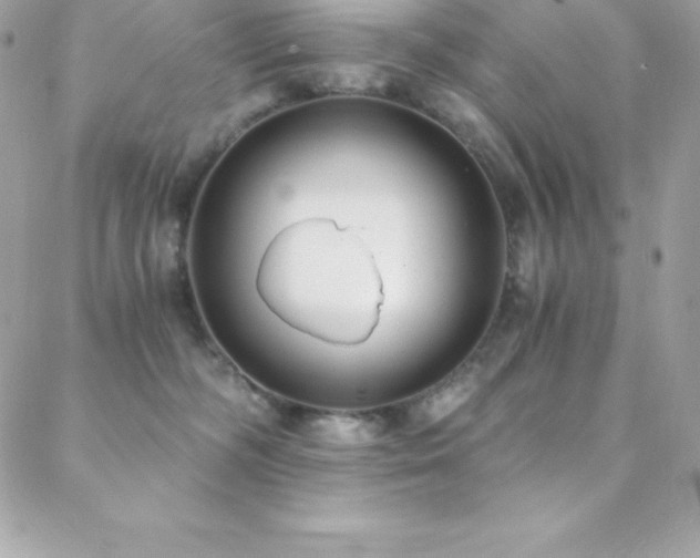 X0000088840326200706071426