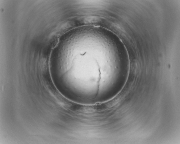 X0000088840327200706071426