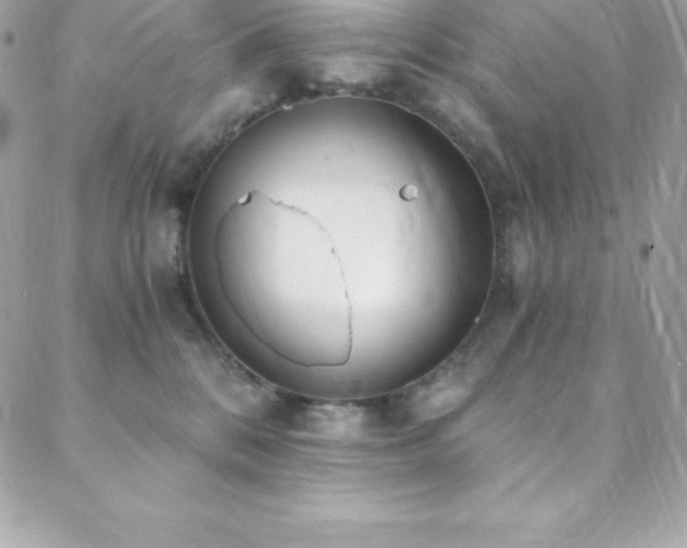 X0000088840328200706071426