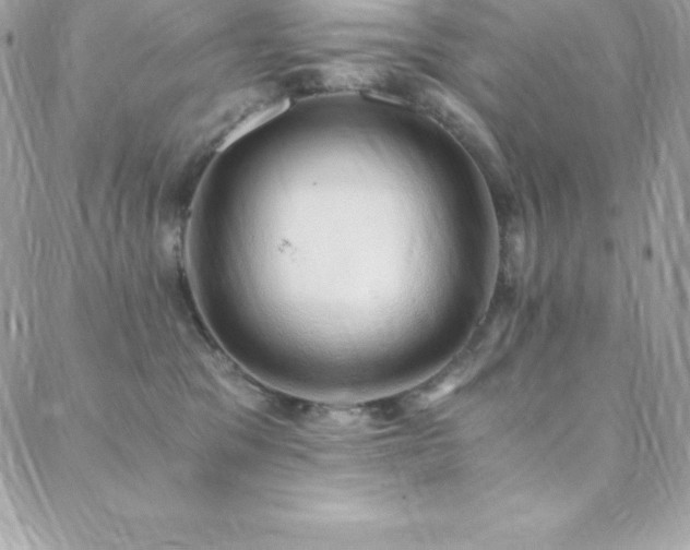 X0000088840329200706071426