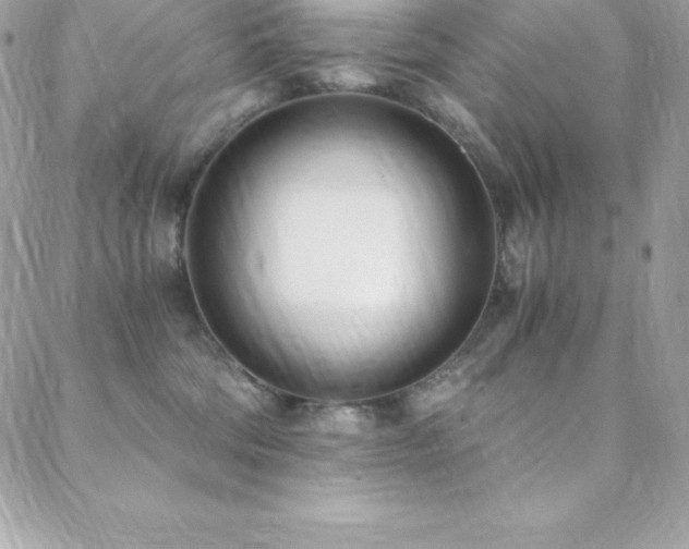 X0000088840330200706071426