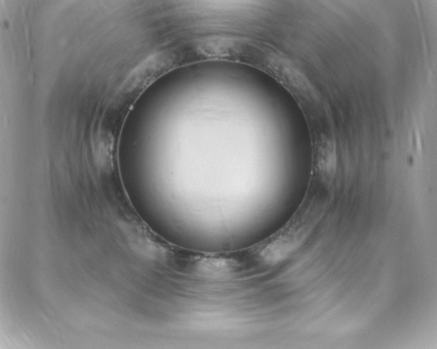 X0000088840332200706071426