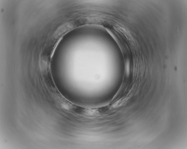 X0000088840333200706071426