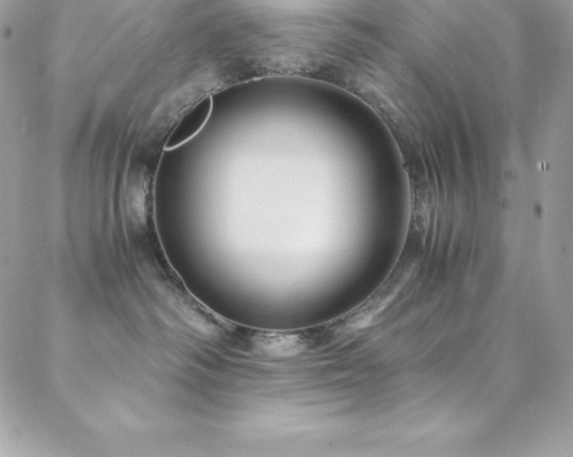 X0000088840334200706071426